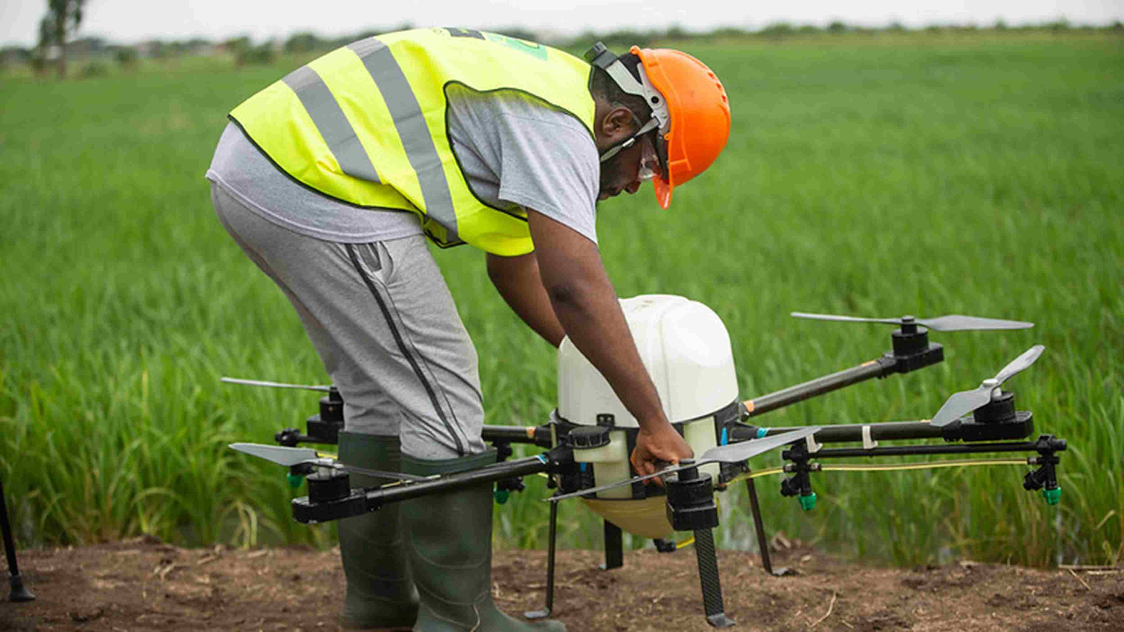Mlezu College of Agriculture